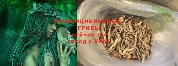 стаф Бугульма