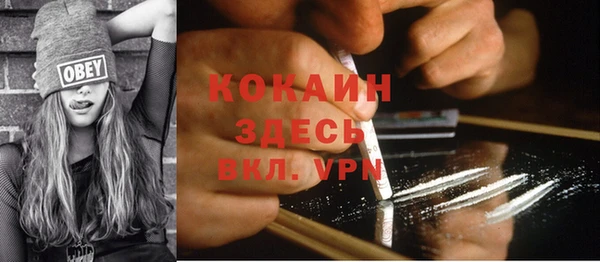альфа пвп Бородино
