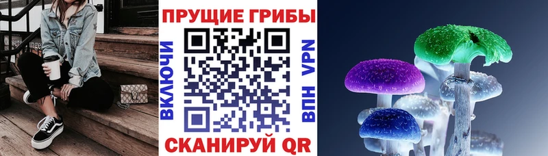 Псилоцибиновые грибы прущие грибы Орехово-Зуево
